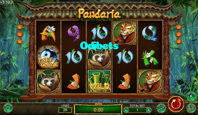 available types of Odibets bet including pre-match live express and system bets